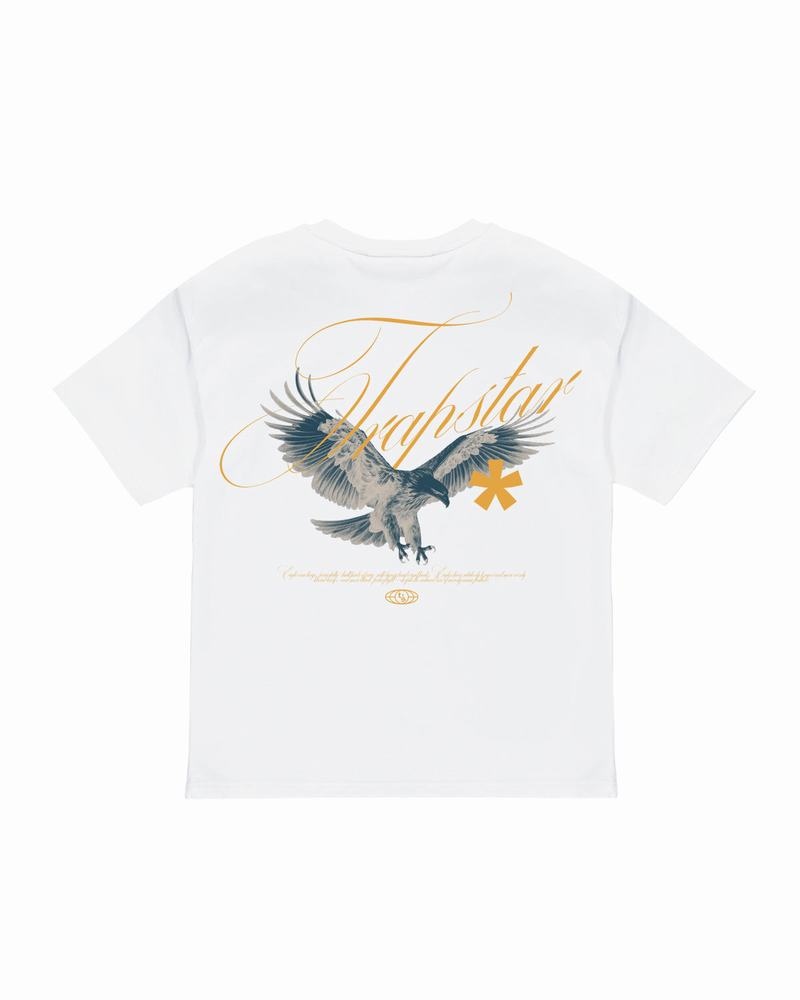 Camiseta Trapstar Flying Birds Tee Hombre Blancos | Mexico-21794