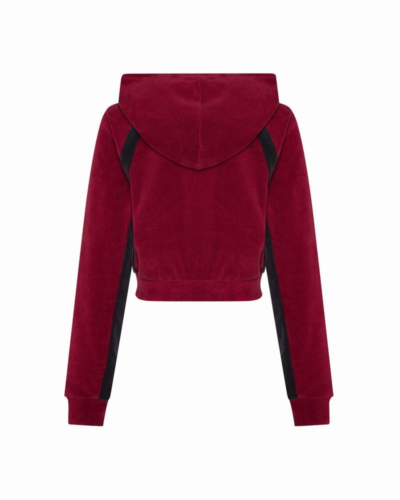 Chandals Trapstar TS- Star Contrast Panel Velour Hoodie Mujer Vino | Mexico-41295